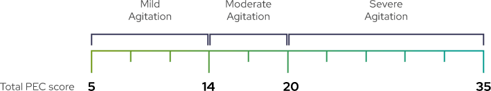 Agitation severity based on total PEC scores: mild agitation (5-13), moderate agitation (14-19), or severe agitation (20-35)